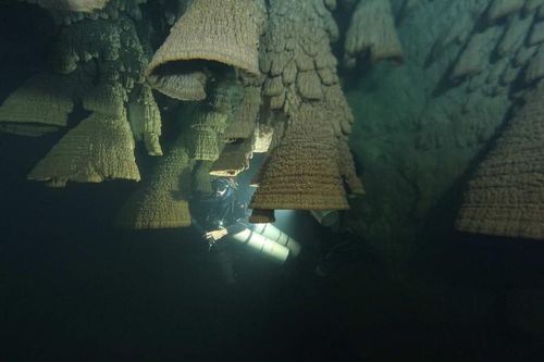 Bí ẩn thạch nhũ mang hình 'chuông tử thần' ở Mexico