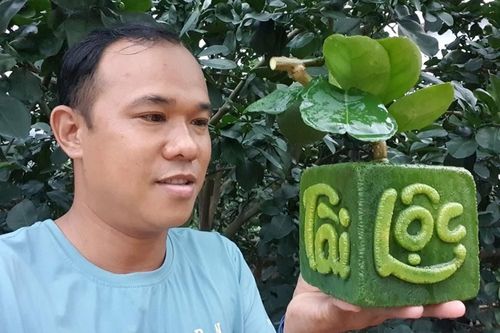 Độc đáo quả bưởi nổi chữ may mắn hút khách