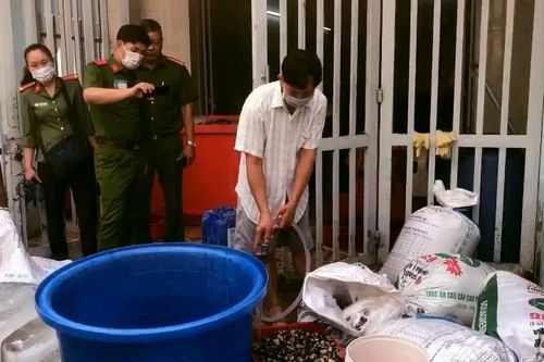 Đột kích cơ sở mỗi ngày tuồn hàng tấn ốc 'ngậm' hóa chất ra thị trường