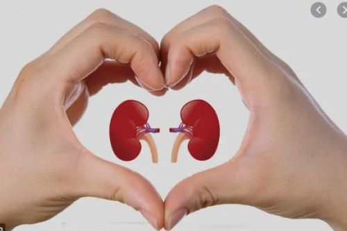 Những thực phẩm 'vàng' nên ăn để bảo vệ thận