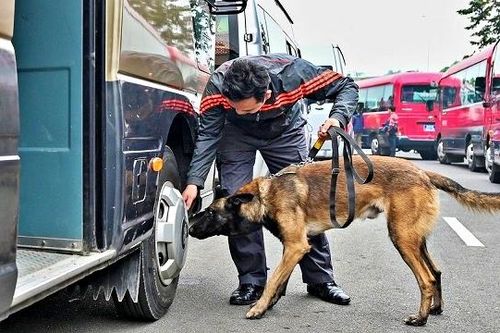 Cận cảnh quá trình rà soát chất nổ trên xe phục vụ Đại hội XIII