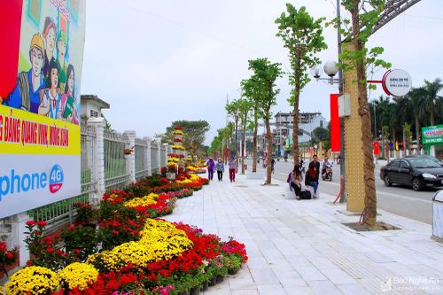 Thành phố Vinh xây dựng nhiều tuyến đường hoa đón Xuân Tân Sửu