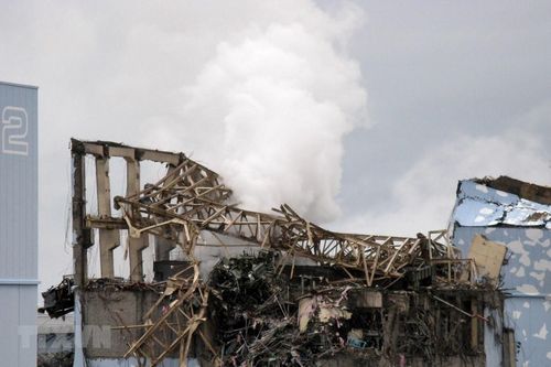 Tòa Phúc thẩm Tokyo ra phán quyết mới về bồi thường thảm họa Fukushima