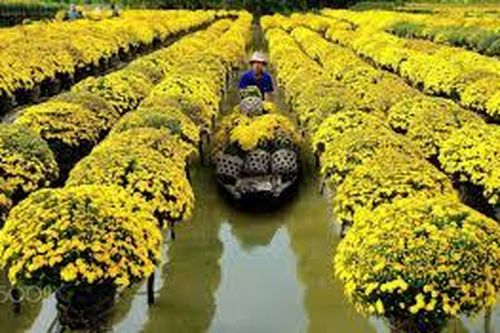 Quảng Bình: Năm 2023 sẽ tổ chức Lễ hội Hoa Quốc tế quy mô 89ha, chi phí 122 triệu Euro