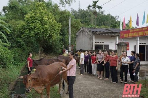 35 tập thể, cá nhân được khen thưởng trong hoạt động tín dụng chính sách