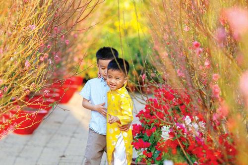 Mùa xuân, ai cũng muốn có hoa
