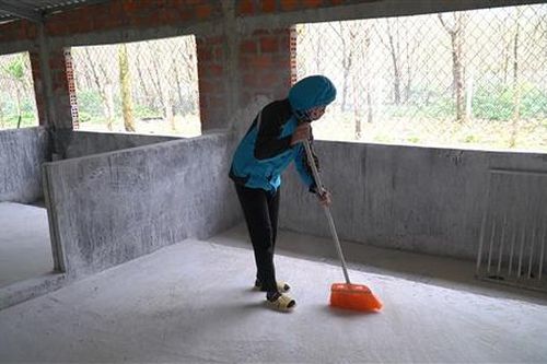 Cam Lộ: Kịp thời khống chế ổ dịch tả lợn Châu Phi