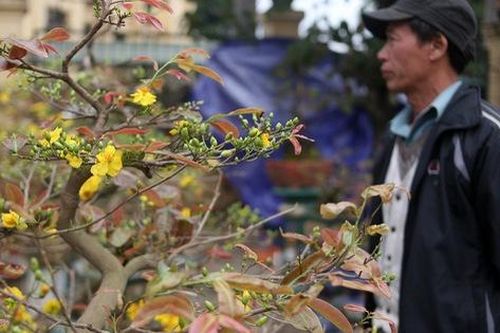 Dựng lều, ngủ đường để không... mất Tết