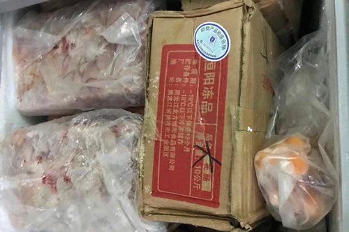 Thu giữ hàng tấn nội tạng đang bốc mùi hôi thối