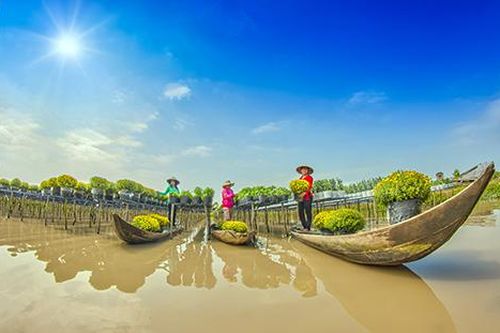 Theo dõi xâm nhập mặn, chỉ đạo sản xuất nông nghiệp tại ĐBSCL