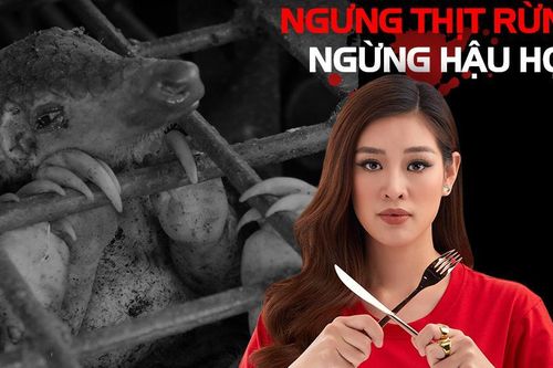 Tết tử tế không thịt thú rừng