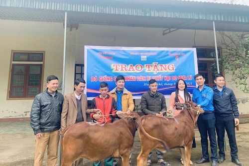 Trao bò giống hỗ trợ bà con vùng lũ Hà Tĩnh