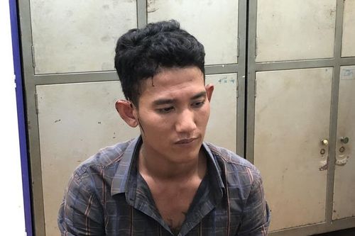 Bắt đôi vợ chồng trộm mai kiểng trị giá gần 100 triệu đồng