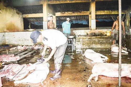 Siết chặt kiểm soát việc giết mổ gia súc, gia cầm