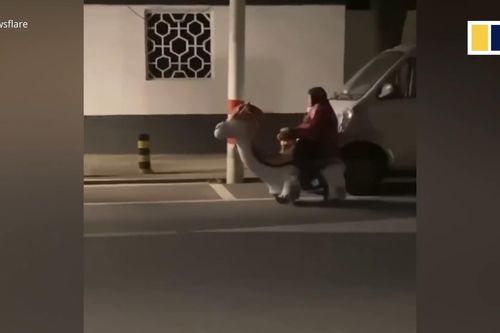 Lái xe đồ chơi từ cửa hàng về nhà, cụ bà 76 tuổi bị CSGT xử phạt