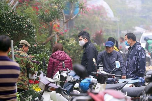 Người dân Hà Nội 'tranh nhau' mua cây cảnh ở chợ hoa Vạn Phúc