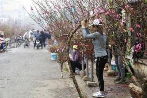 Tuyệt đối không được gây khó khăn cho người dân trong kinh doanh đào, mai