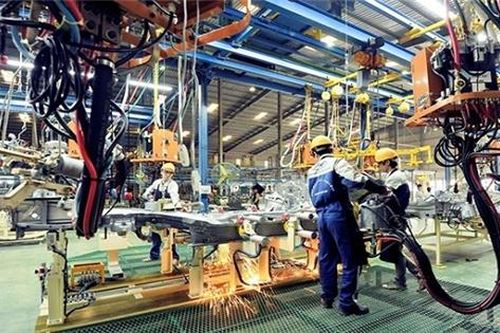 Xây tổ đón đại bàng: Đừng bỏ quên doanh nghiệp nội