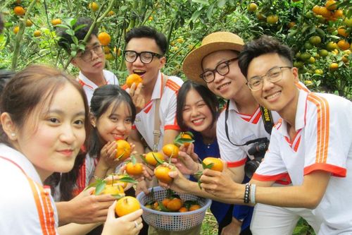 Trải nghiệm check-in vườn quýt hồng núi Cấm