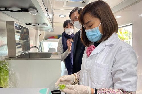 Bảo đảm an toàn thực phẩm dịp Tết