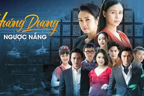 Giải mã lý do 'Hướng dương ngược nắng' gây sốt