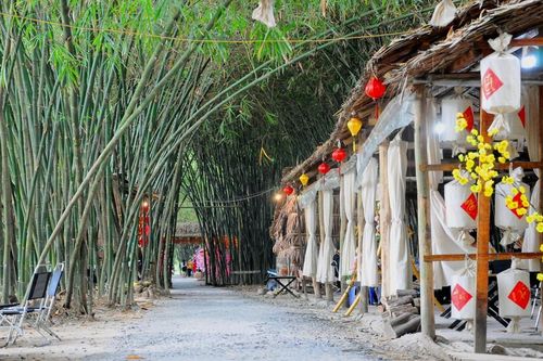 Khám phá vườn tre 'độc nhất vô nhị' ở miền Tây