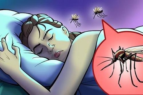 Vì sao có tiếng muỗi vo ve bên tai khi ngủ?
