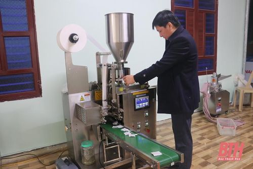 Huyện Ngọc Lặc phát triển kinh tế HTX