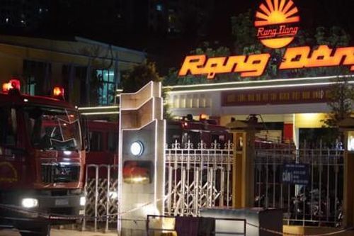 Nhà sản xuất bóng đèn Rạng Đông lãi kỷ lục trong vòng 15 năm qua