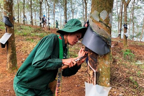 Quan tâm chăm sóc sức khỏe người lao động