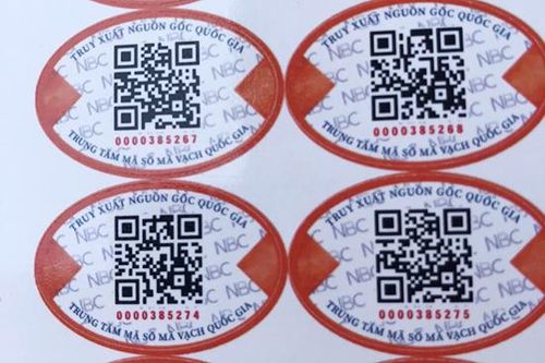 Cấp 97.000 tem truy xuất nguồn gốc cho cây đào ở Mộc Châu