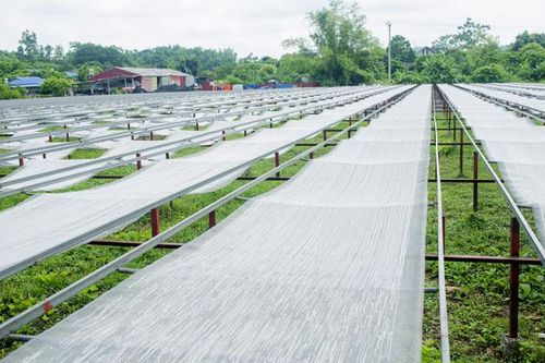 Chất lượng hàng Việt - chưa hết lo