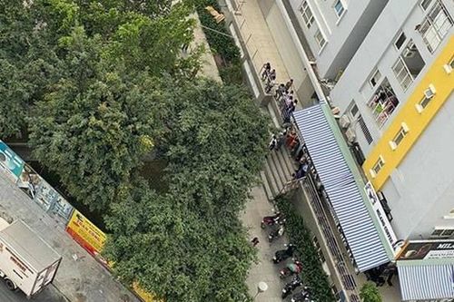 Một nạn nhân rơi từ tầng cao chung cư Carina