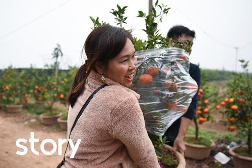 Tất bật bán quất cảnh dịp Tết