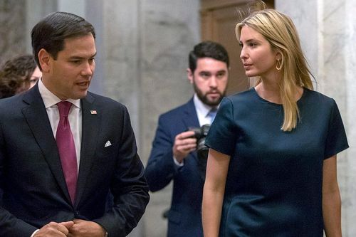 Thượng nghị sĩ Florida căng thẳng vì tin đồn Ivanka Trump ra tranh cử