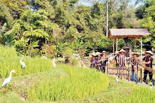 Bản sắc văn hóa Việt trong ngày xuân