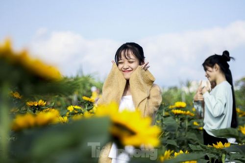 Bạn trẻ lạc giữa đồng hoa đang độ khoe sắc ngày xuân