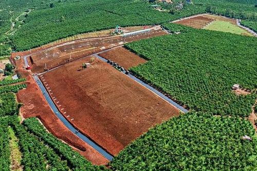 'Loạn' phân lô bán nền, Lâm Đồng ra quy định mới về tách thửa đất