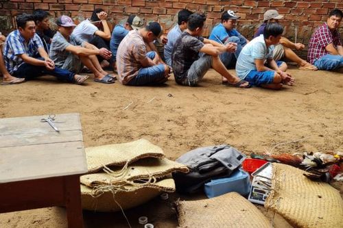 TP. Cần Thơ triệt phá điểm đá gà, thu giữ hơn 800 triệu đồng