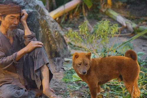 Bị dân mạng liên tục tẩy chay, phim 'Cậu Vàng' lỗ nặng hơn 20 tỷ, ngậm ngùi rời phòng vé