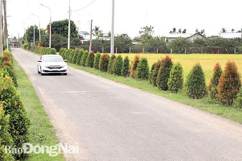 Kéo gần khoảng cách thành thị - nông thôn
