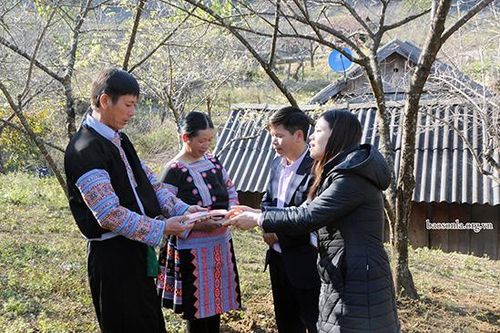 Dán tem đào trồng, nông dân vui như Tết