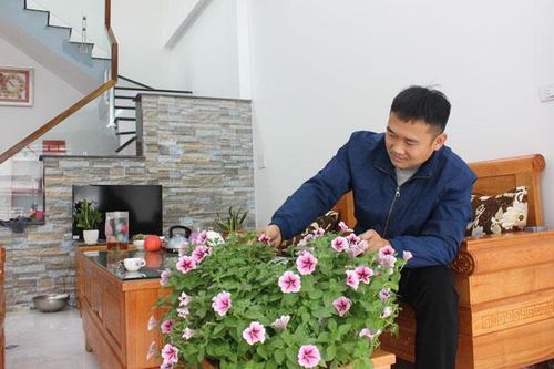 Xuân sớm trong những ngôi nhà đại đoàn kết