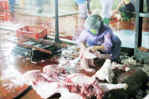 Kiểm soát an toàn thực phẩm khâu giết mổ dịp Tết: Phải quản lý chặt từ ''gốc''