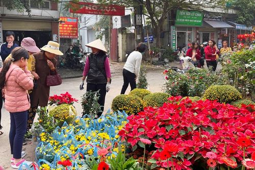 Nhộn nhịp chợ hoa Vạn Phúc (Hà Đông)
