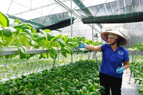 Xây dựng nền nông nghiệp hội nhập