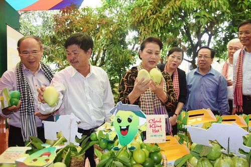 Sáng tạo, phát triển bền vững kinh tế tập thể