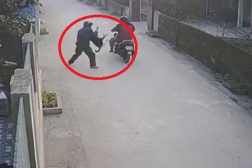 2 thanh niên đi xe máy giữa ban ngày dùng súng bắn điện trộm chó
