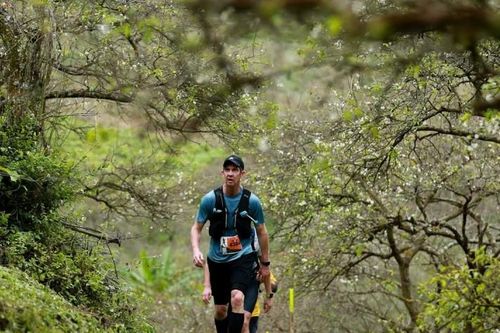 Nhiều người nổi tiếng tham gia Giải chạy Vietnam Trail Marathon 2021 tại Mộc Châu