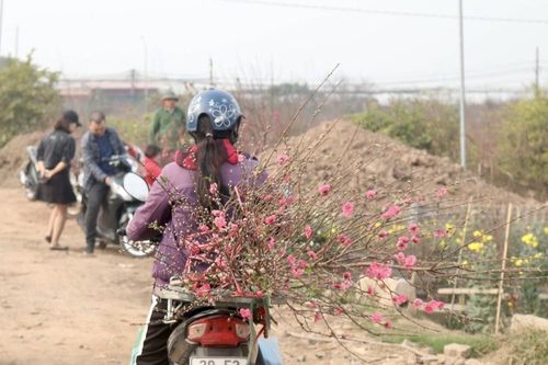 Đào Nhật Tân 'mini' hối hả về phố trước rằm tháng Chạp